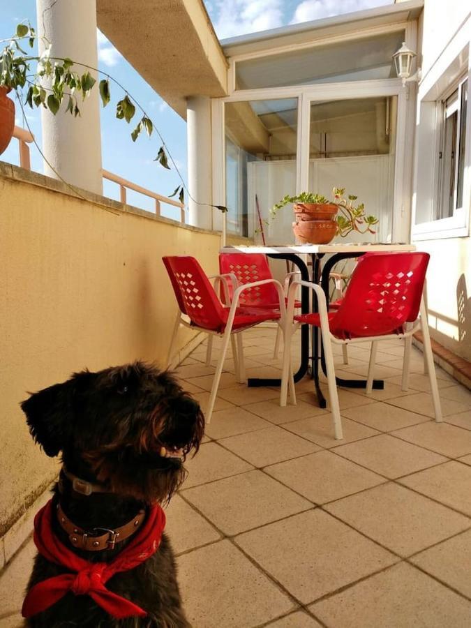 El Trastero Apartment Santa Marta de Tormes Luaran gambar